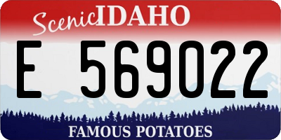 ID license plate E569022
