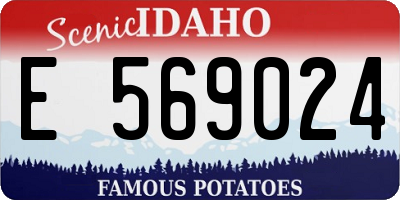 ID license plate E569024