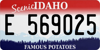 ID license plate E569025