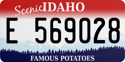 ID license plate E569028