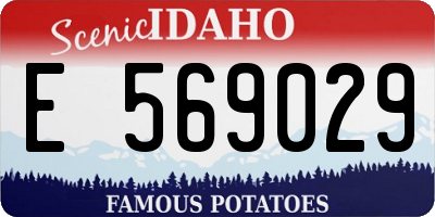 ID license plate E569029