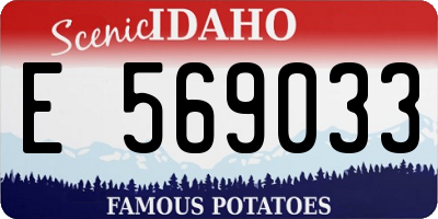 ID license plate E569033
