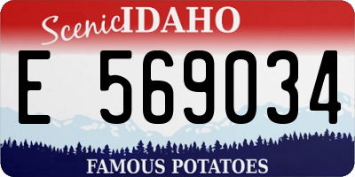 ID license plate E569034