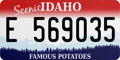 ID license plate E569035