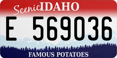 ID license plate E569036