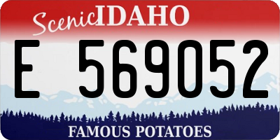 ID license plate E569052