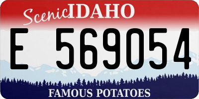 ID license plate E569054