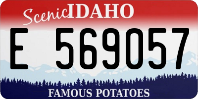 ID license plate E569057