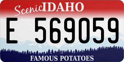 ID license plate E569059