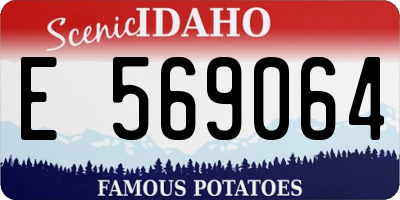 ID license plate E569064