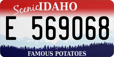 ID license plate E569068