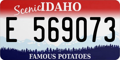 ID license plate E569073