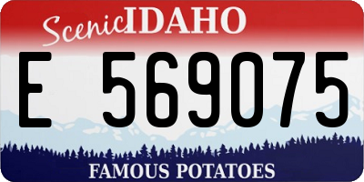 ID license plate E569075