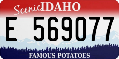 ID license plate E569077