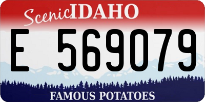 ID license plate E569079