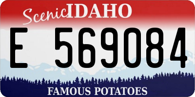 ID license plate E569084
