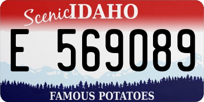 ID license plate E569089