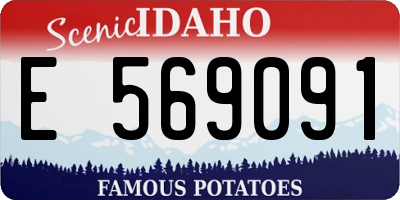 ID license plate E569091