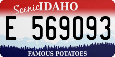 ID license plate E569093