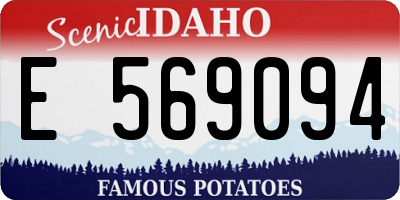 ID license plate E569094