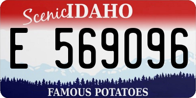 ID license plate E569096