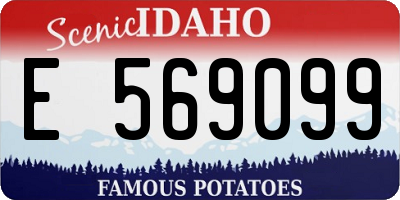 ID license plate E569099