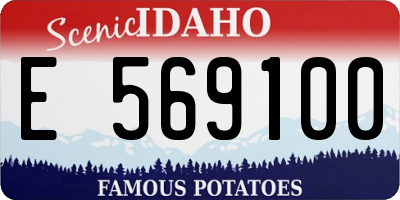 ID license plate E569100