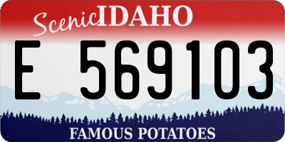 ID license plate E569103