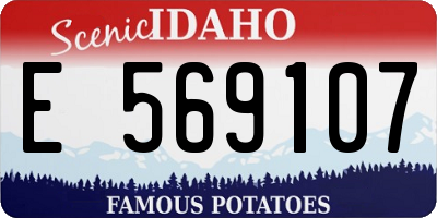 ID license plate E569107
