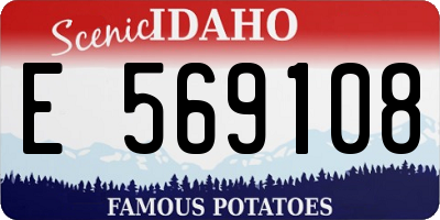 ID license plate E569108