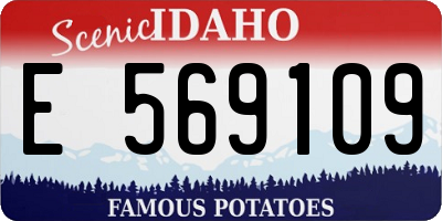 ID license plate E569109