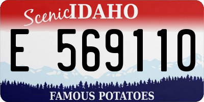 ID license plate E569110
