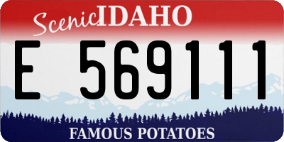 ID license plate E569111