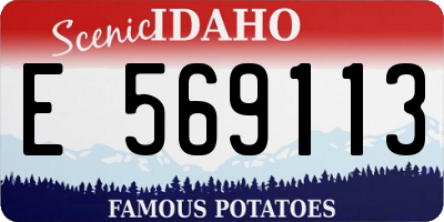 ID license plate E569113