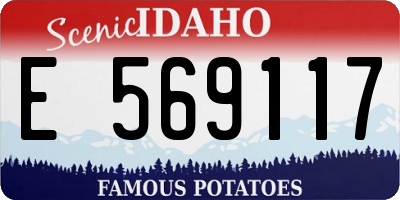 ID license plate E569117