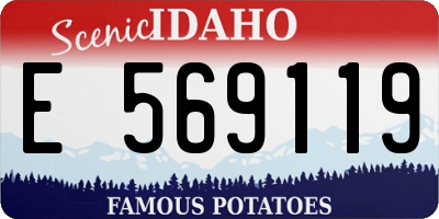 ID license plate E569119
