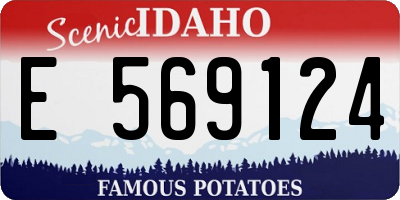 ID license plate E569124