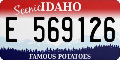 ID license plate E569126