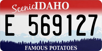 ID license plate E569127