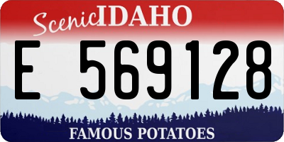 ID license plate E569128