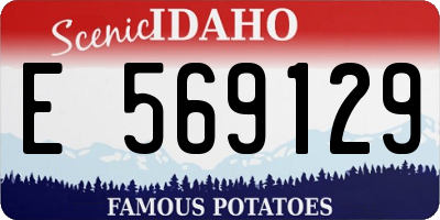 ID license plate E569129