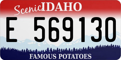 ID license plate E569130