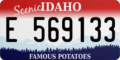ID license plate E569133
