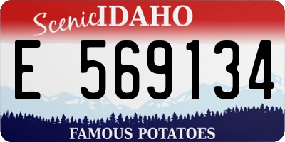 ID license plate E569134