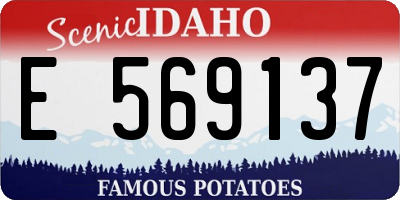 ID license plate E569137