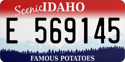 ID license plate E569145