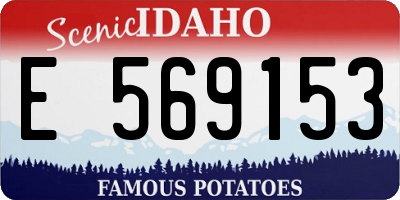 ID license plate E569153