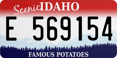 ID license plate E569154