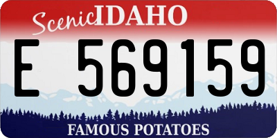 ID license plate E569159