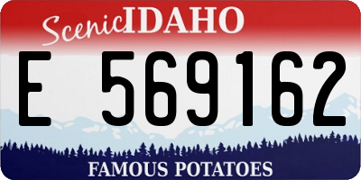 ID license plate E569162